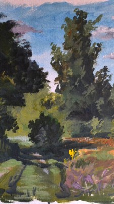 PCASOLARI_Plein_Air (7)