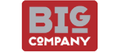 Big Company